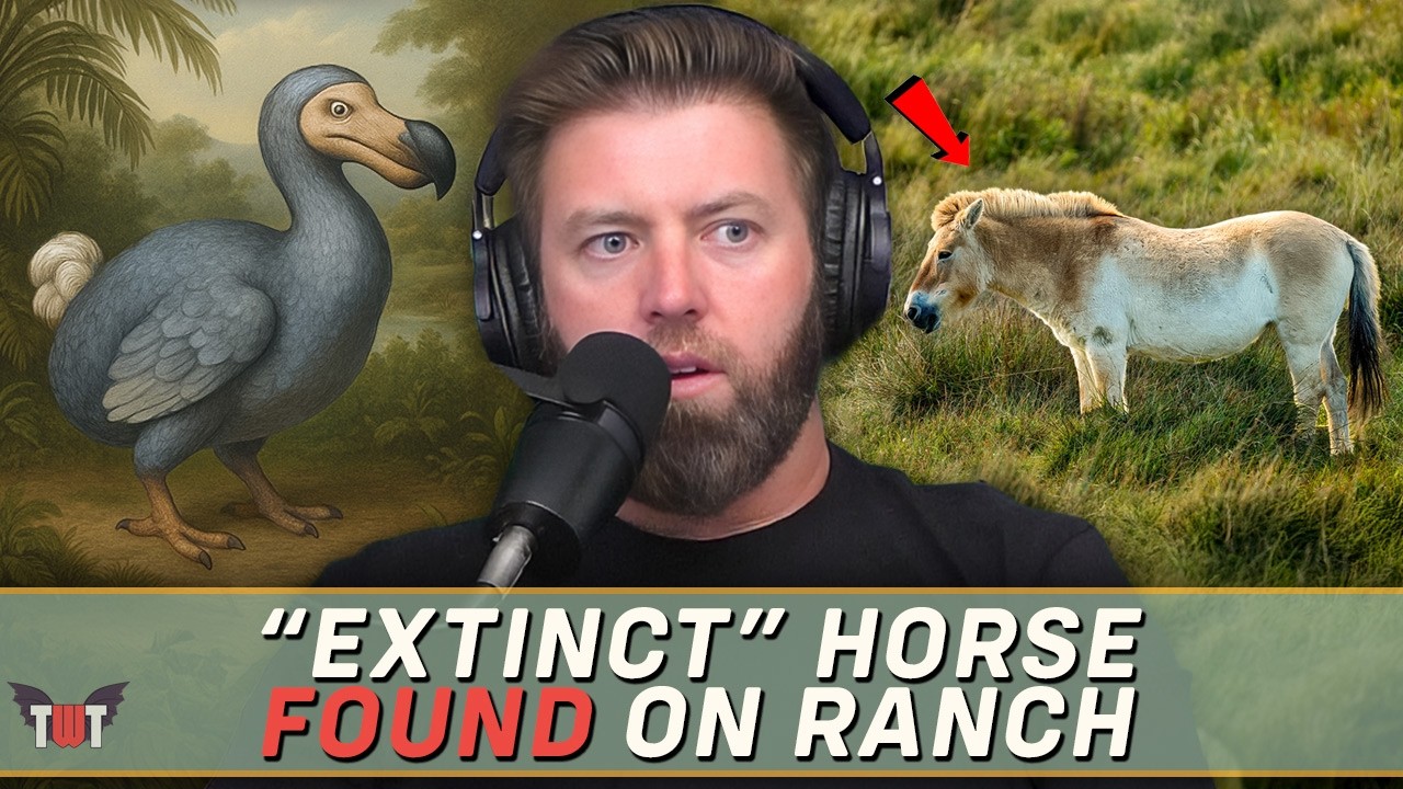 YouTube post by @WildTimesPod for Underdog Fantasy. Caption reads: "Extinct" Animal Found on a Ranch, Why The Dodo....