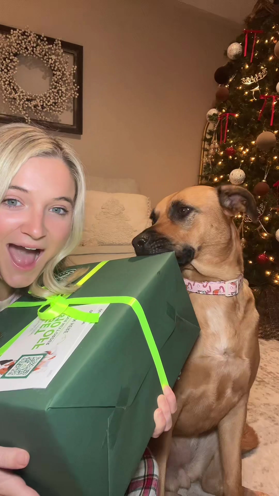 TikTok post by @drue.fogo for Benebone. Caption reads: @Benebone we love you!💚🦴🐶 #durabledogtoys [...].