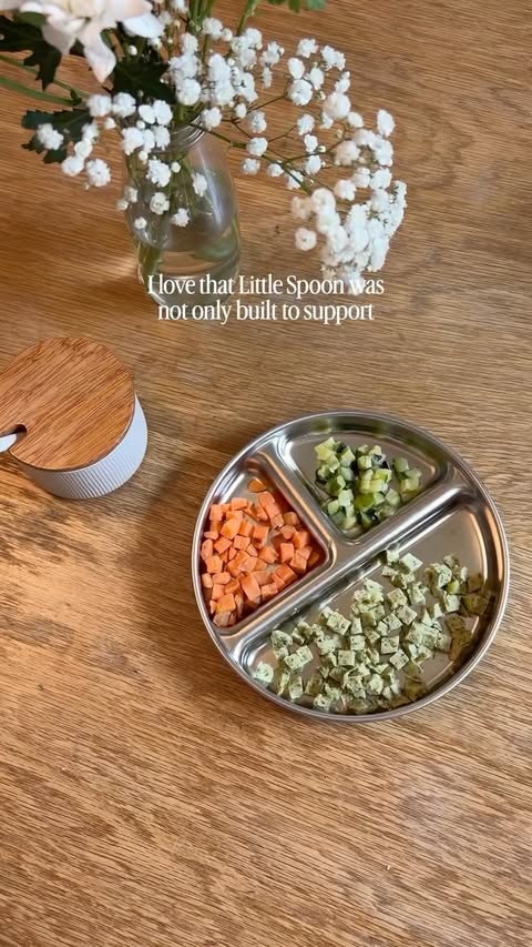 Instagram post by @carolinescozycorner for Little Spoon. Caption reads: [...] option to feed my babies. Thankfully....