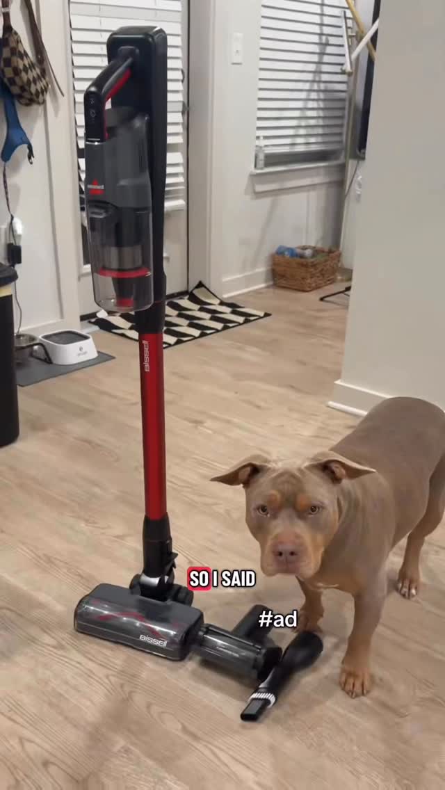 Instagram post by an influencer for BISSELL. Caption reads: [...] Zoe 10/10 recommends the BISSELL PowerClean....