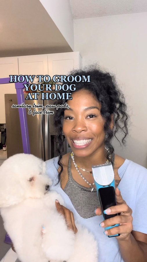 Instagram post by @arisathegroomer for Amazon Pets. Caption reads: [...] by using my favorite products from....