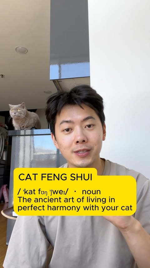 Instagram post by @porkybellyandjim for PETLIBRO. Caption reads: Practice cat feng shui with @petlibro Luma, the....