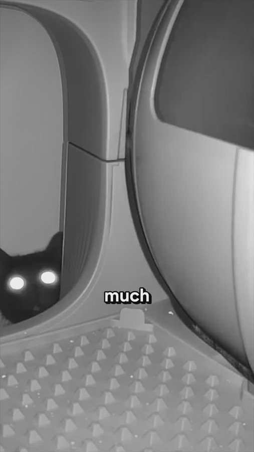 Instagram post by @kelly___lopez for PetSnowy. Caption reads: I liked my PetSnowy litter box so much I got....