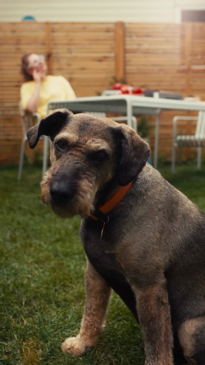 Instagram post by @nawojka_chalupinska_nowik for Tefal. Caption reads: Zapraszamy do … Reklamy 🤣
Na campingu obowiązuje....