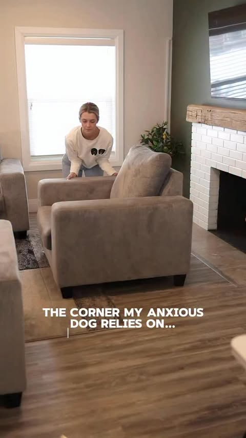 Instagram post by @curedbydogs for Earth Rated. Caption reads: Having guests over with an anxious dog? Try this!....