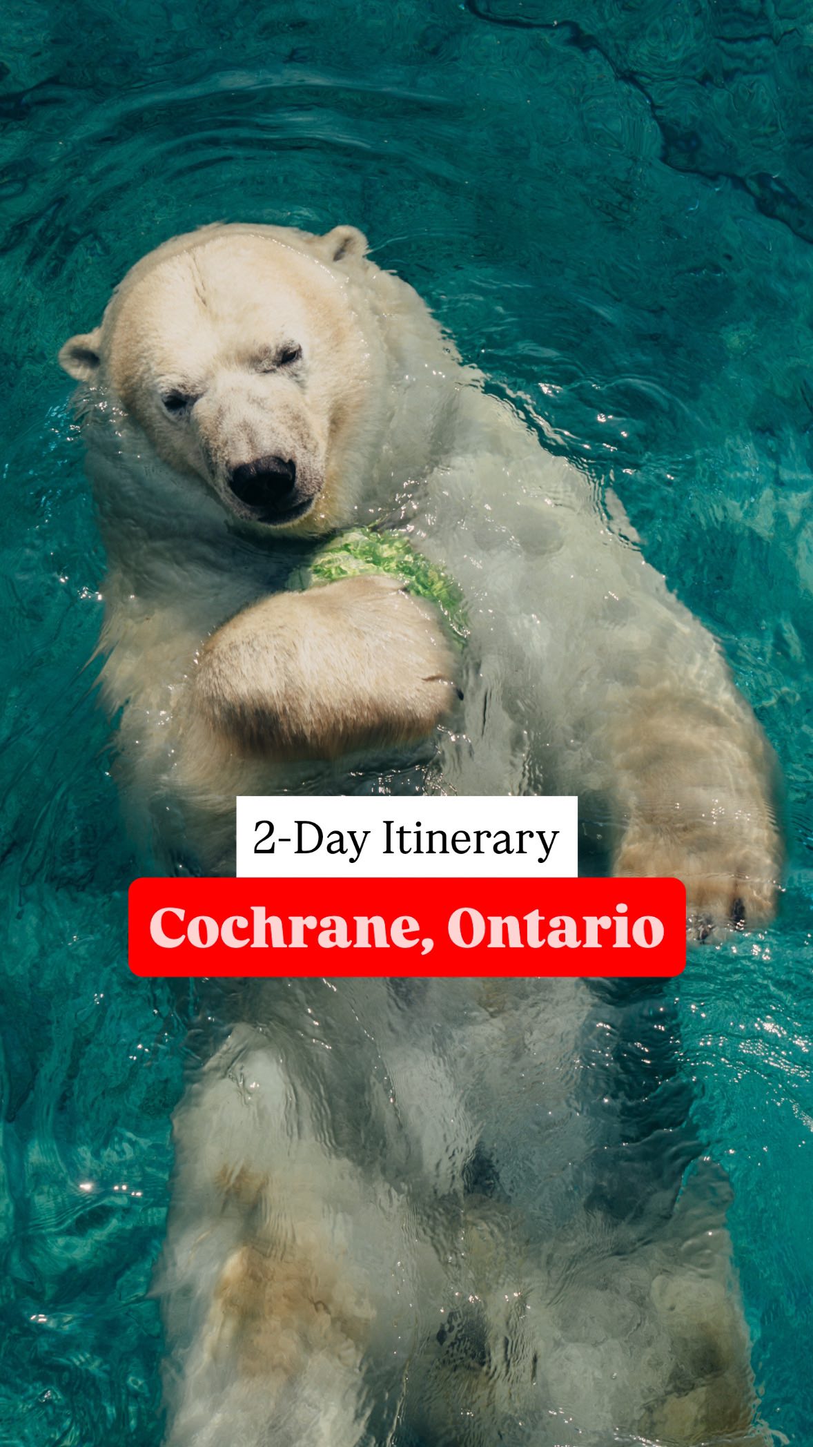 Instagram post by @neontario for Destination Ontario. Caption reads: ✨2-Day Itinerary for Cochrane, Ontario✨ SERIES:....