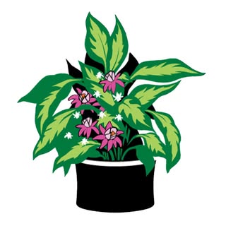Smart Pot