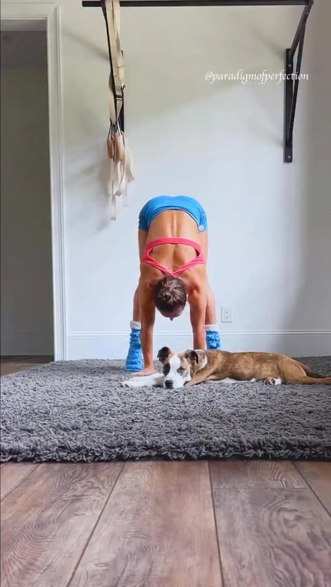 Instagram post by @paradigmofperfection for Ptula. Caption reads: Full trust 🐶

Get so confident in your....