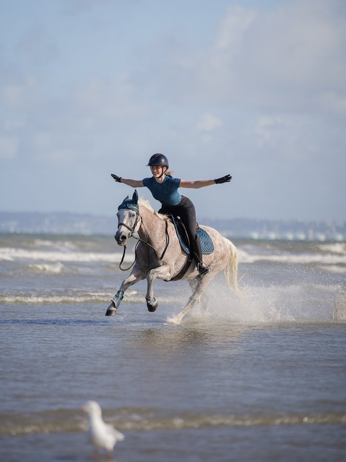 Instagram post by @mathilde_et_sligo for EQUESTRIAN STOCKHOLM. Caption reads: a beach ride is always a good idea 🐚✨🏇 enjoying....