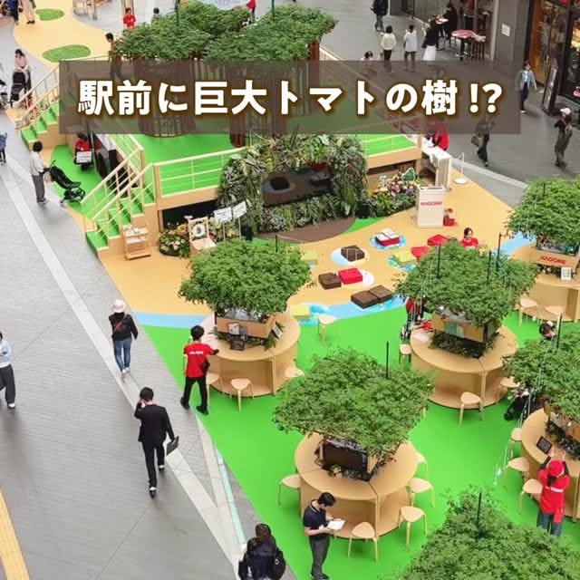 Instagram post by @ameco_travel for Kagome. Caption reads: \....