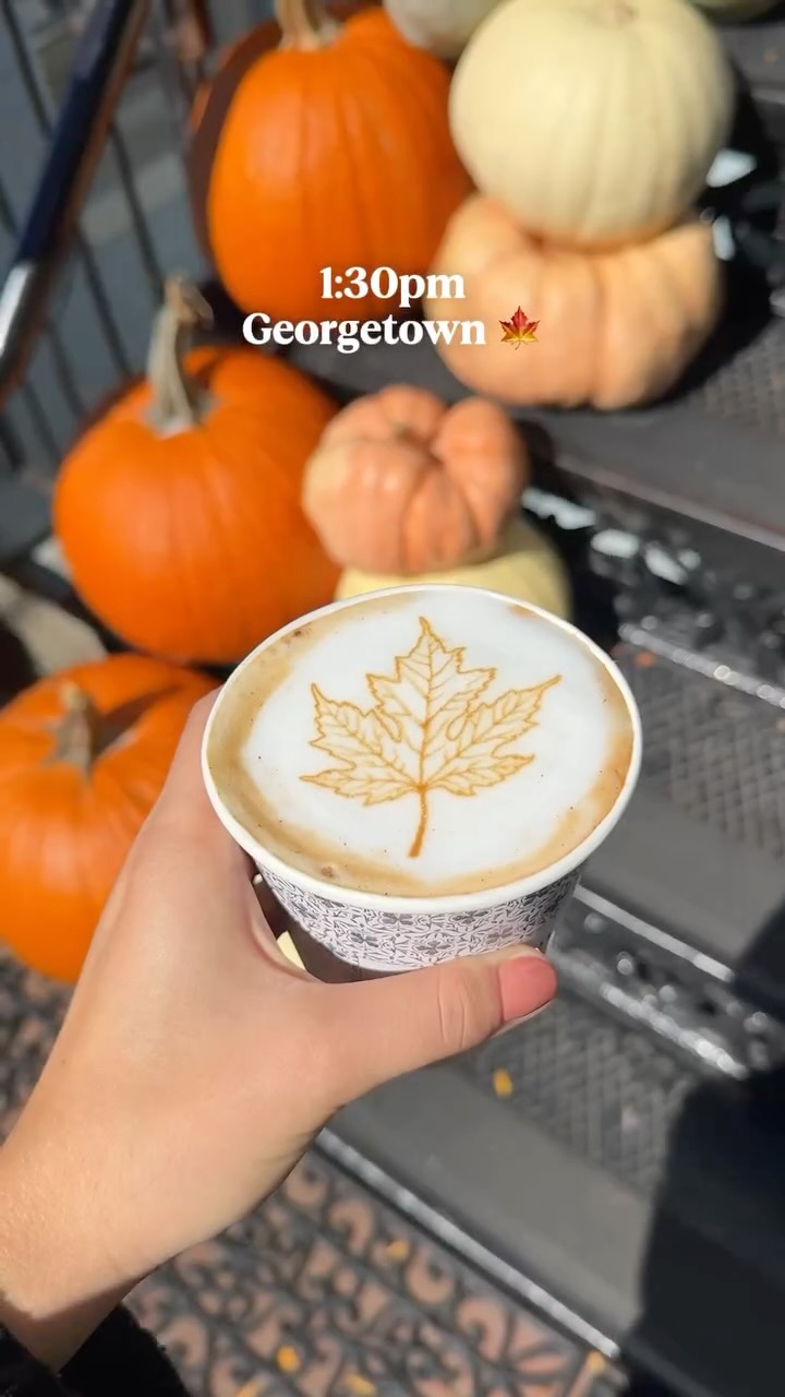 Instagram post by @yourdcbestie for Groupon. Caption reads: 🍁☕️How to plan a perfect fall day in DC on a....