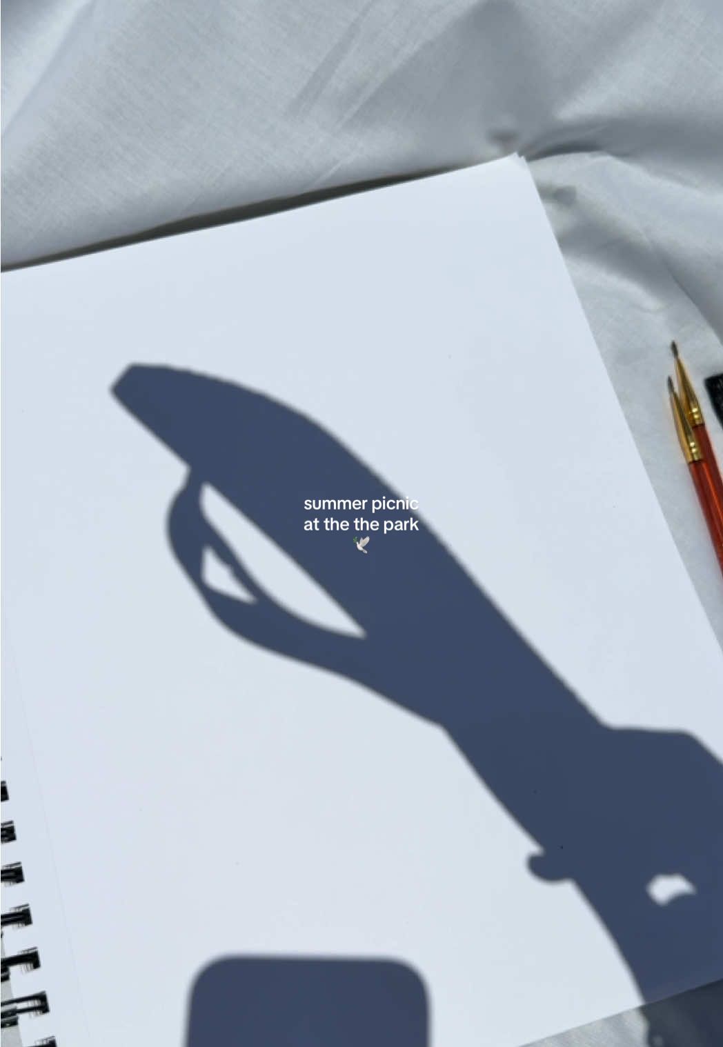 TikTok post by @nia.lei for Havaianas. Caption reads: a beautiful morning in my havaianas 🪴 @Havaianas....