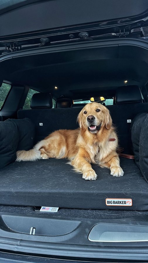 Instagram post by @the_goldendonut for Big Barker. Caption reads: #BigBarkerPartner The Backseat Barker: SUV Edition....