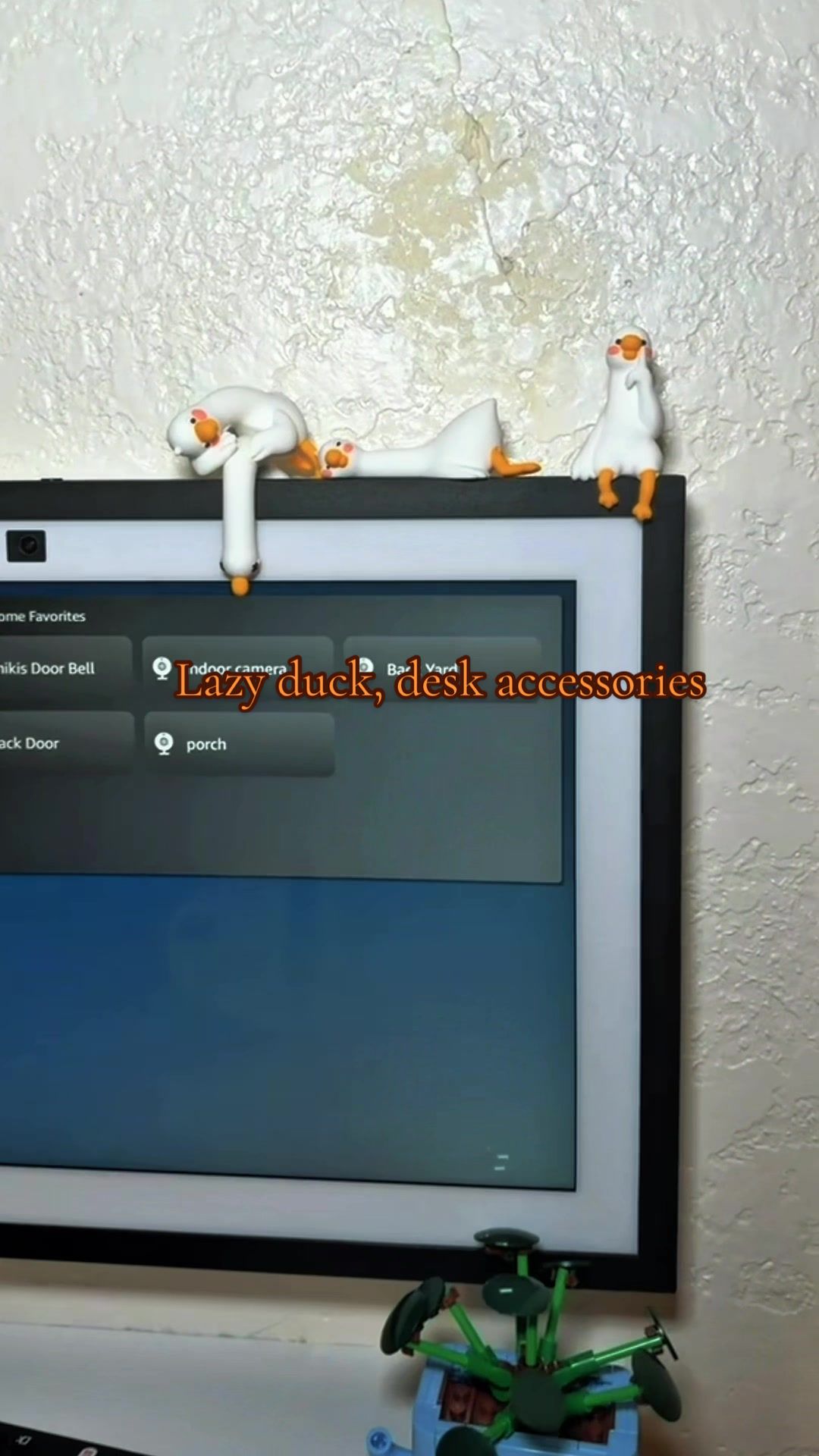 TikTok post by @lachikiss87 for MUNBYN. Caption reads: @munbyn1 Lazy Duck, #deskaccessories #ducks.