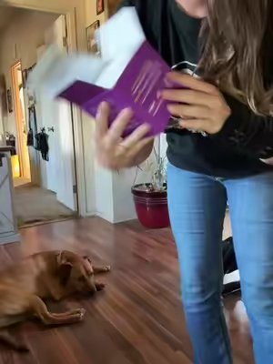 TikTok post by @tarynn.it.up.710 for Hapwag Pets. Caption reads: [...] check out these #probioticsfordogs @HAPWAG....