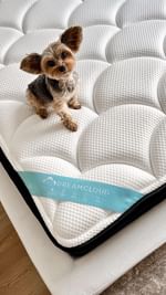 Instagram post by @darling_tee for DreamCloud Sleep. Caption reads: [...] when looking for a new mattress,....