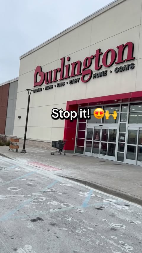 Instagram post by @eggsandbunnies for Burlington. Caption reads: Friends!!!!!!! A giant gingerbread for the dogs?!....