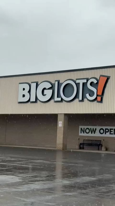 Instagram post by @danisings for biglots. Caption reads: You heard her, the PERFECT one stop shop! Skip the....