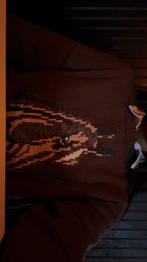 Instagram post by @danishacarter for Altar'd State. Caption reads: horse girl fall @altardstate.