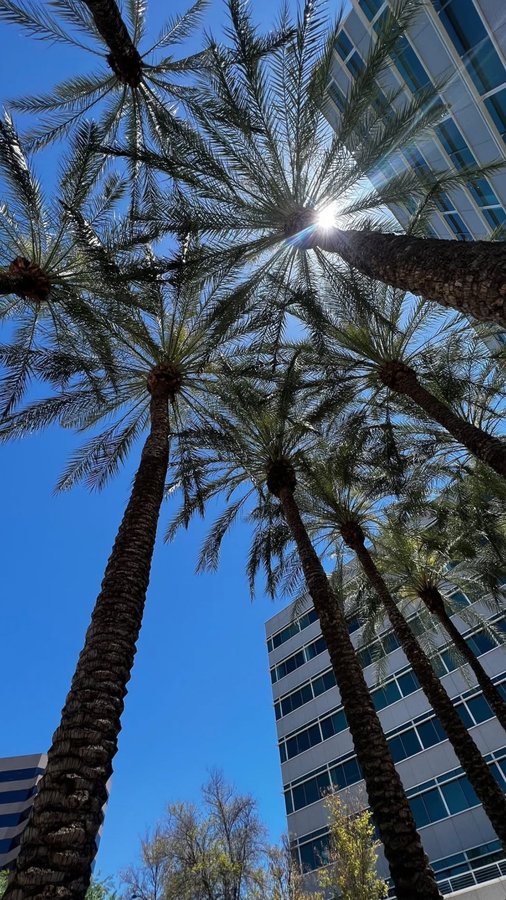 Instagram post by @iamakishajenee for Esembly Baby. Caption reads: #AD Eco-friendly never looked so good - discover....