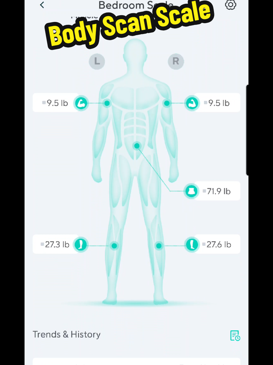 TikTok post by @shuckyducky121 for Wyze. Caption reads: OFFICIAL Wyze Scale Ultra BodyScan -Wi-Fi &....