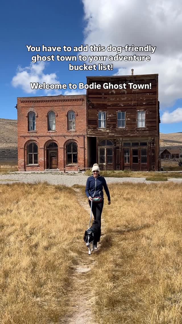 Instagram post by @laducb for Ruffwear. Caption reads: Have you ever been to  Ghost Town? 👻  Welcome to....