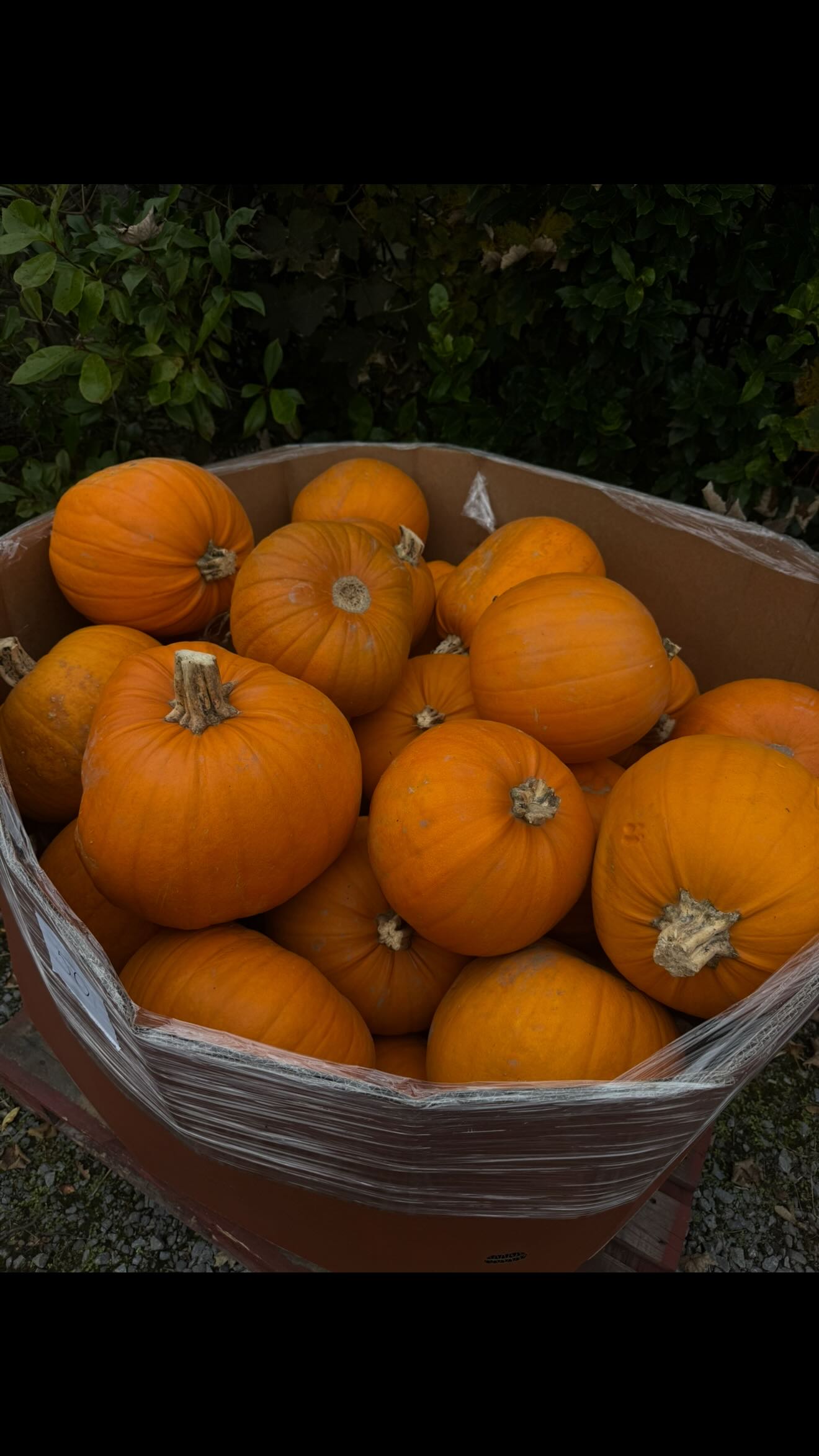 Instagram post by @ciaraodoherty for 4TH ARQ. Caption reads: [...] for links 🔗 Sharing my favourites from....