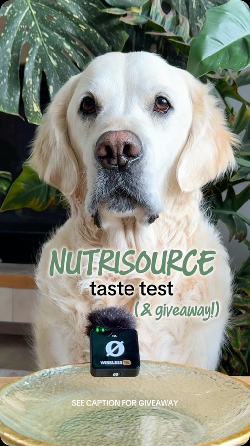 Instagram post by @leothecream for NutriSource Pet Foods. Caption reads: ✨GIVEAWAY✨⁣
⁣
We’ve teamed up with....