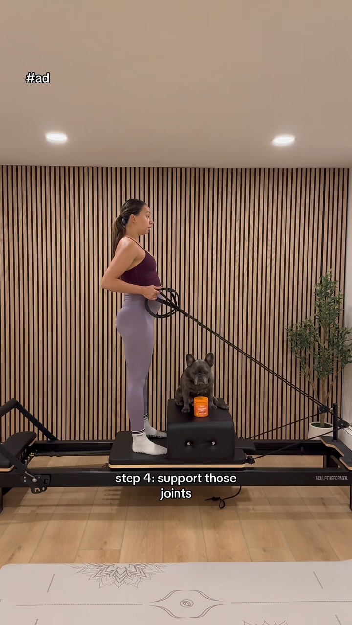 Instagram post by @winstonthefrenchiee_ for Zesty Paws. Caption reads: #ad Pilates isn’t just for humans… Winston’s here....