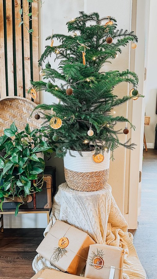 Instagram post by @botanicallybe for Costa Farms. Caption reads: Holidays are not only a time to give but also....