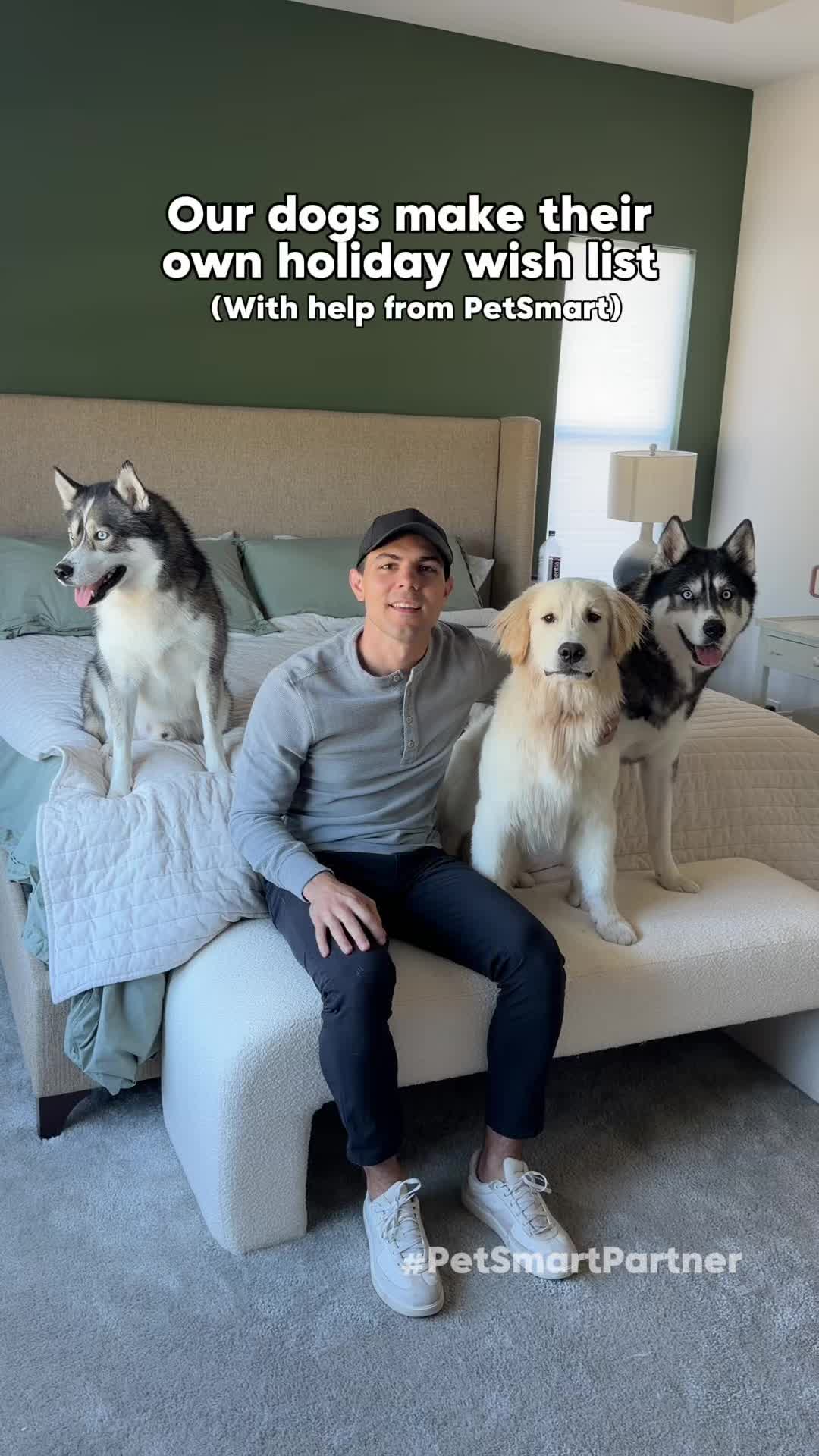 TikTok post by @imbluethesiberiann for PetSmart. Caption reads: #PetSmartPartner If it were up to the boys, they....