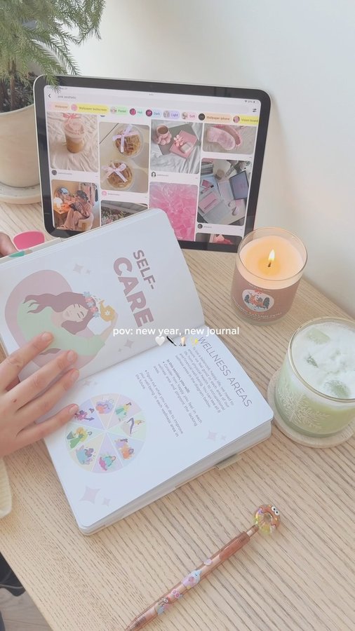 Instagram post by @termeh.diary for Clever Fox. Caption reads: [...] 2025 with a cup of matcha and my new....