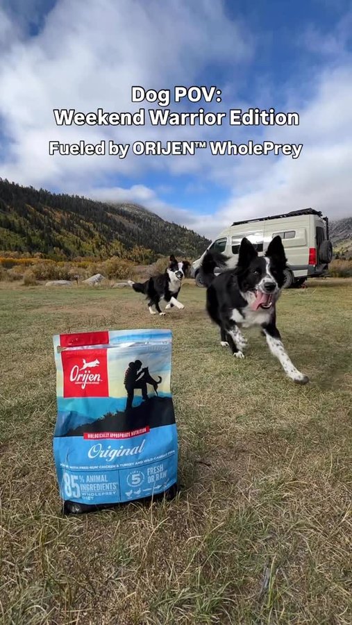 Instagram post by @laducb for ORIJEN Petfoods. Caption reads: Fuel for the warriors on the go! 🐾 ⚡️ 

From....