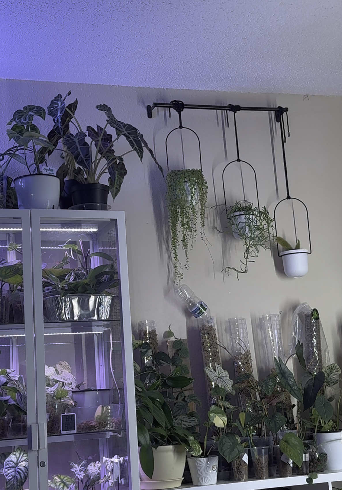 TikTok post by @prafaith for Umbra. Caption reads: I really love it😍🤍 @Umbra Design #fyp....