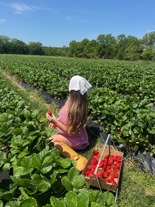 Instagram post by @shaylnnmariee for Beginning Boutique. Caption reads: Strawberry season!! 🍓🌱🧺 @beginningboutique....
