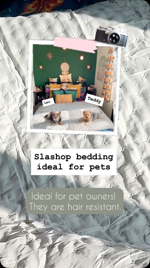 Instagram post by @sugarvogue for slashop. Caption reads: #AD 🫶🏼🐾 @slashopofficial 🛏pet hair resistant....
