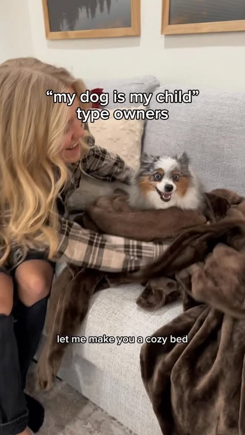 Instagram post by @chaoswithkoda for Jinx. Caption reads: [...] think Koda eats better than we do…....