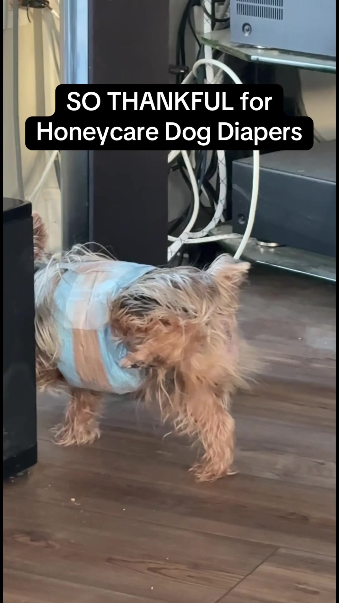 TikTok post by @kristas.kreations for HoneyCarePet. Caption reads: Highly rated and Repeat customers for a reason!!....