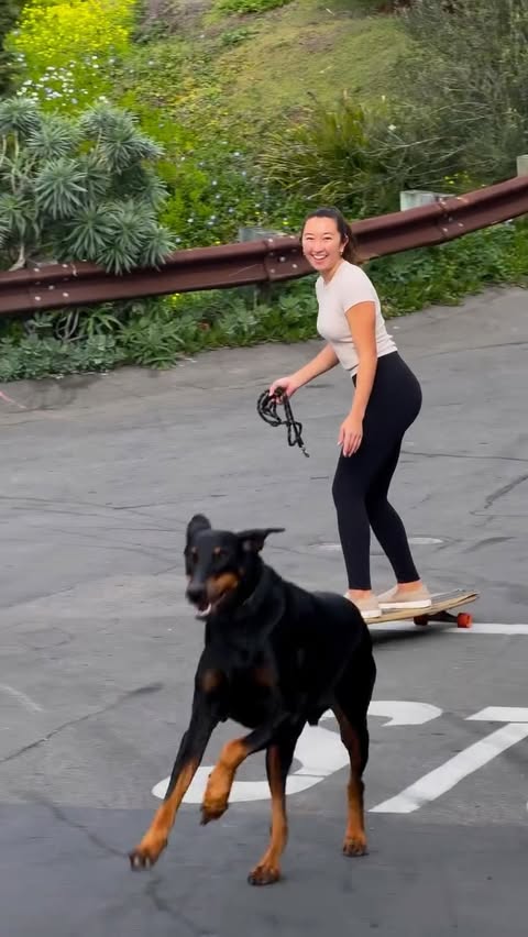 Instagram post by @sally.cohen for The Farmer's Dog. Caption reads: [...] healthier meals & healthier choices....