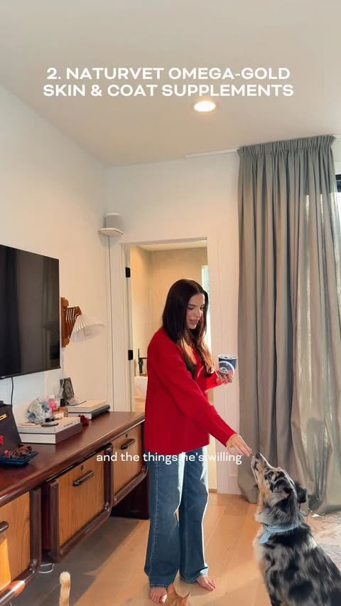 Instagram post by @catherine.lockhart for NaturVet. Caption reads: My 4 dog necessities that I always have in my....