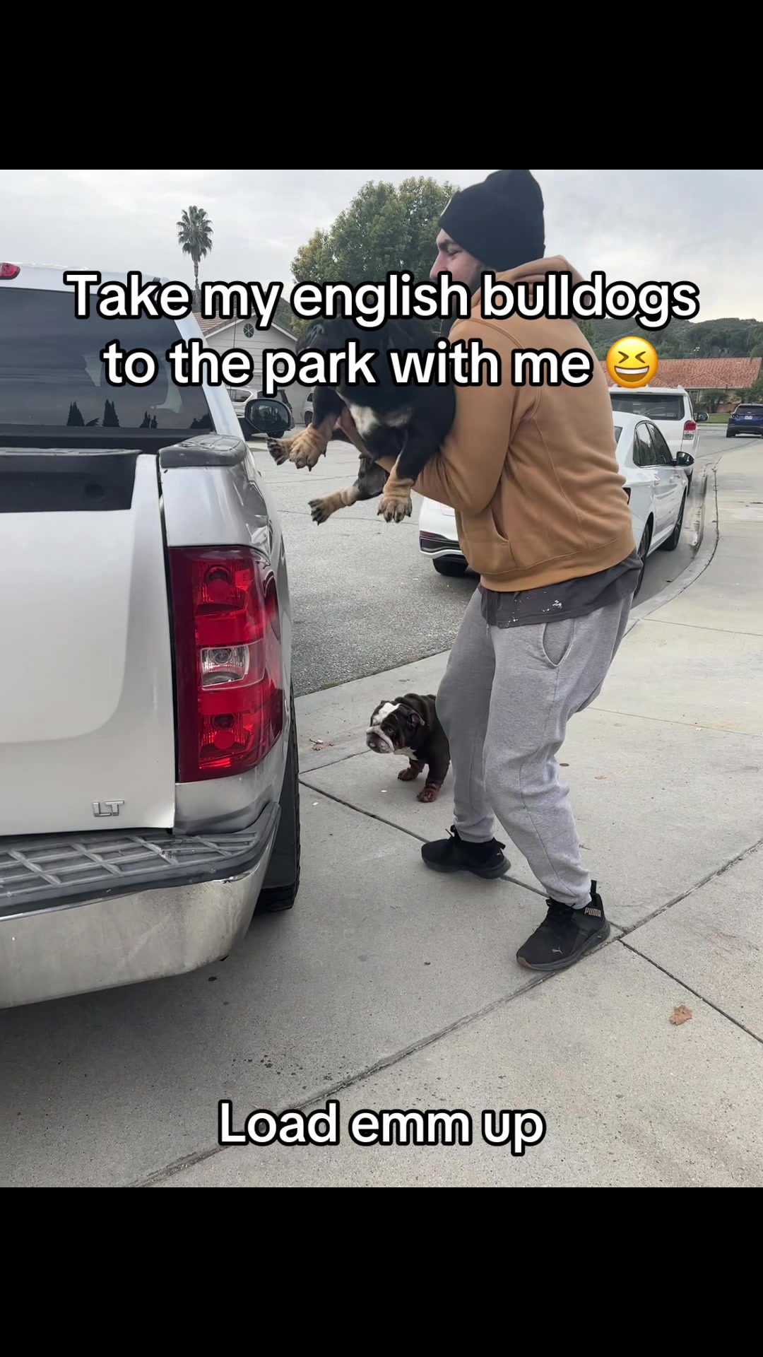 TikTok post by @mochithebully0 for Rinseroo. Caption reads: [...] muddy puddles 😭 so glad we got the....