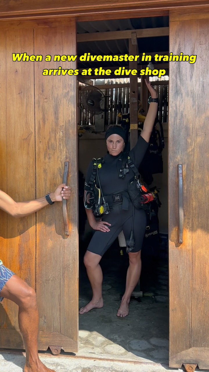 Instagram post by @daily_scuba_photos for Scuba Diving. Caption reads: 🚨A new DMT has arrived!🚨

Meet Duna, she’s 22,....