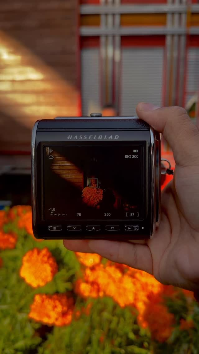 Instagram post by @camezi for Hasselblad. Caption reads: Walking through local market catching some light....