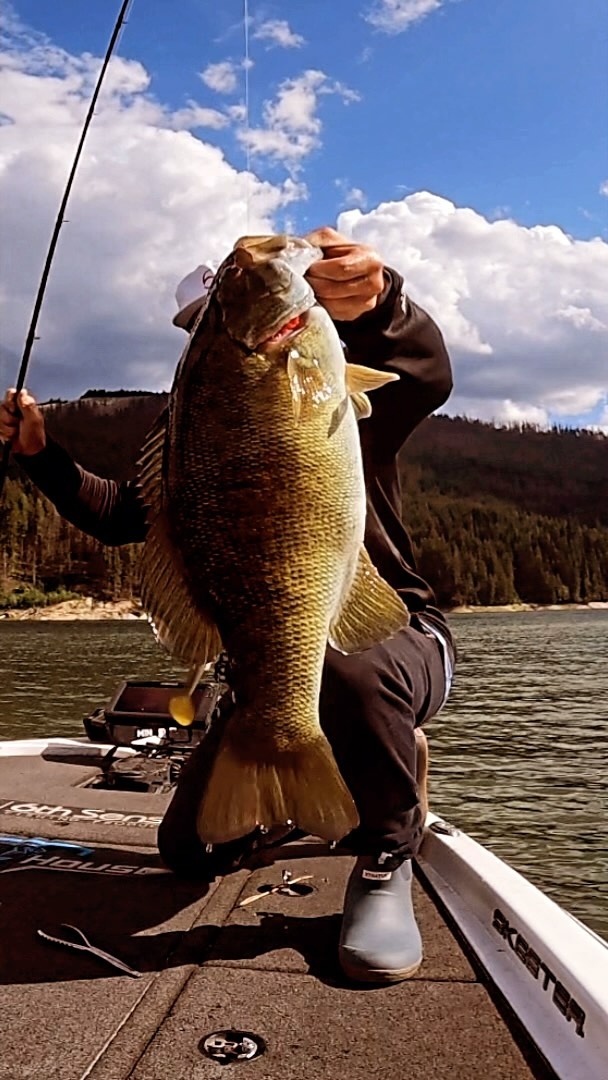 Instagram post by @joey.walton.fishing for 6th Sense Fishing. Caption reads: 7.87 @6thsensefishing . . #6thsensefishing....