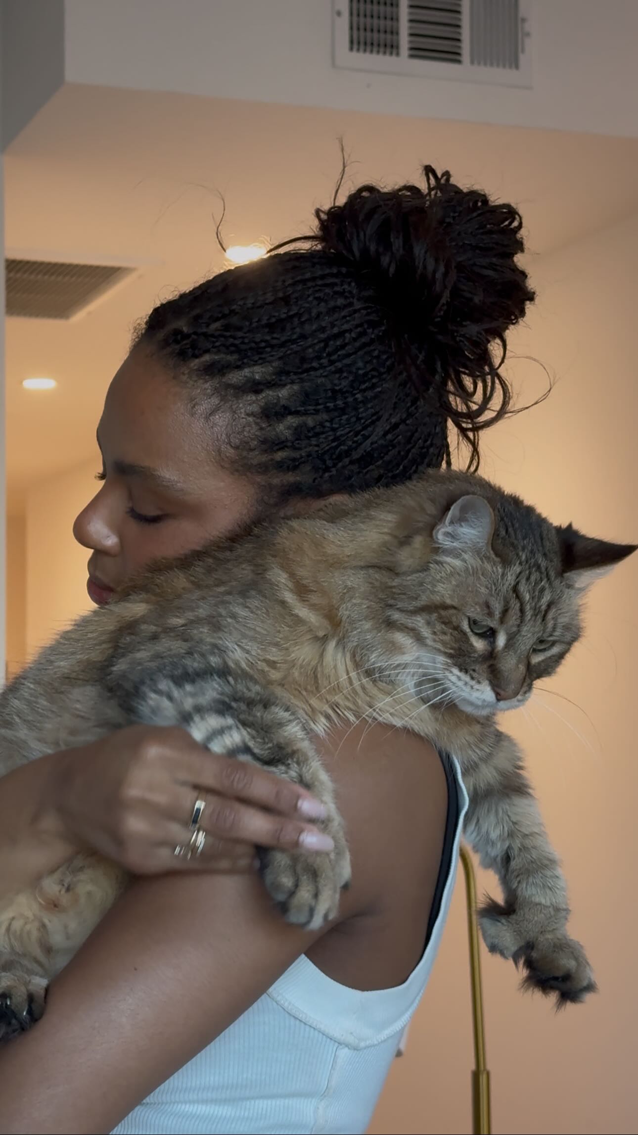 Instagram post by @brittbenae for Purina ONE. Caption reads: Halfway through the @purinaone_us 28 Day Challenge....