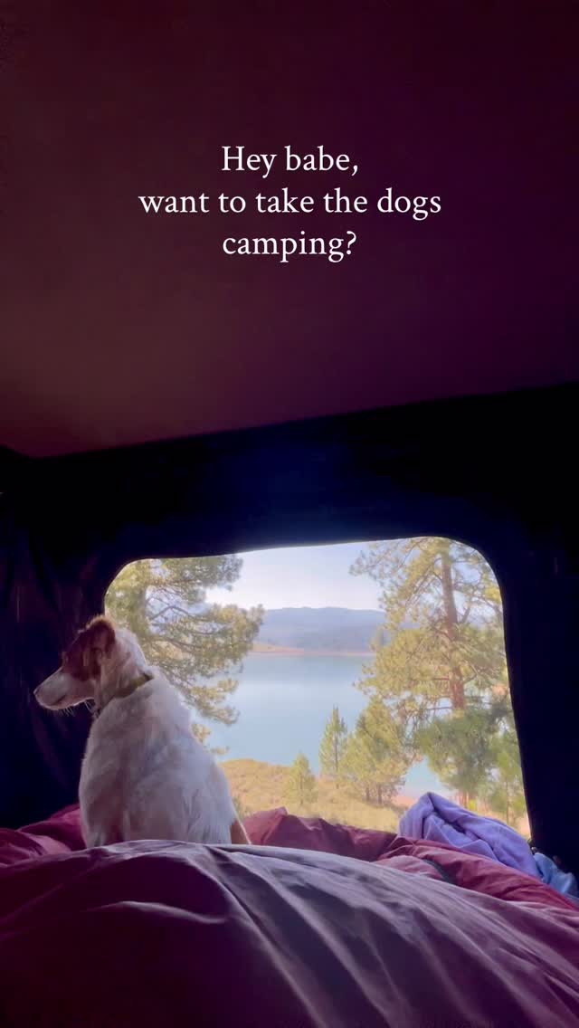 Instagram post by @out.for.a.ripp for Ruffwear. Caption reads: My idea of a date night with the help of @hipcamp....