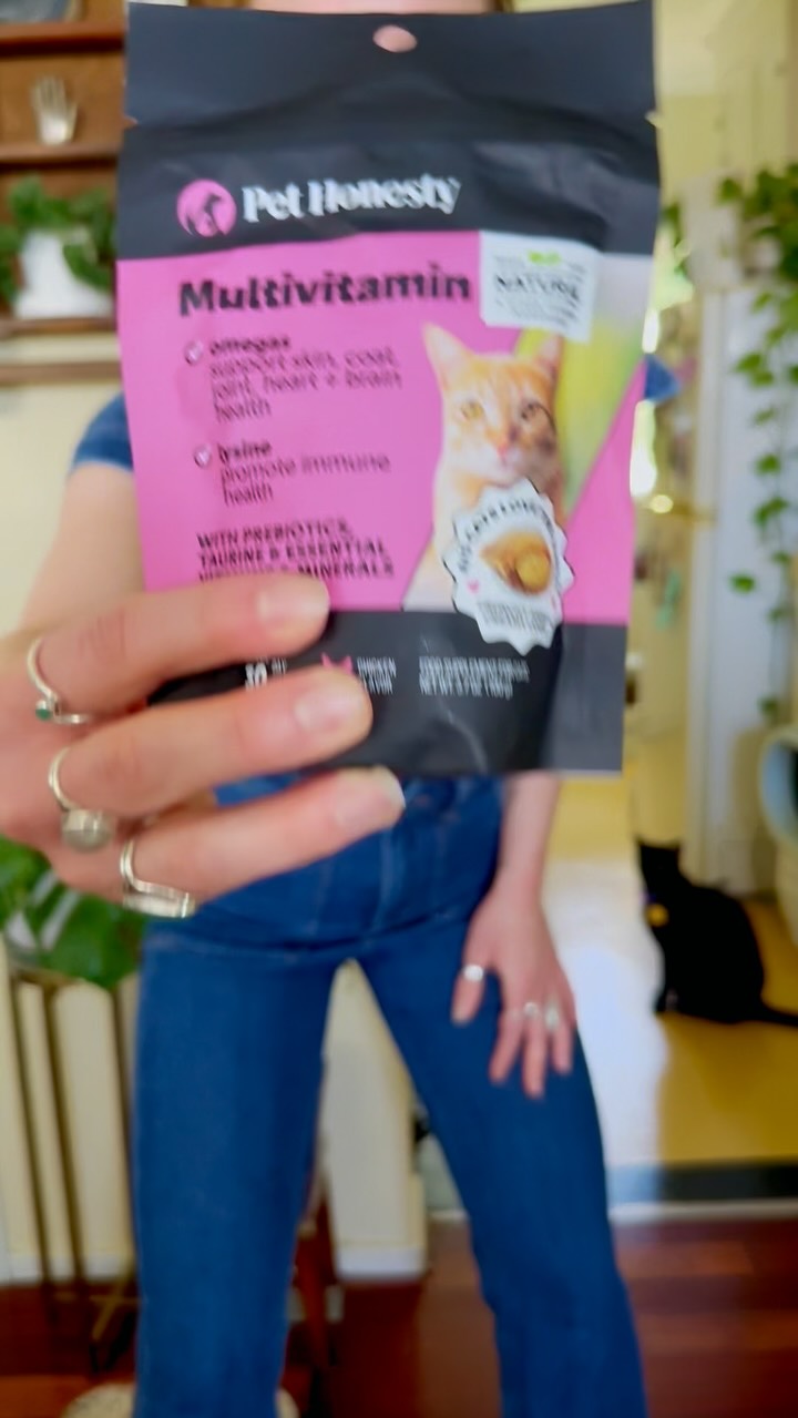 Instagram post by @thecosmickittys for PetHonesty. Caption reads: ✨ No matter where we are in the world, Pet Honesty....