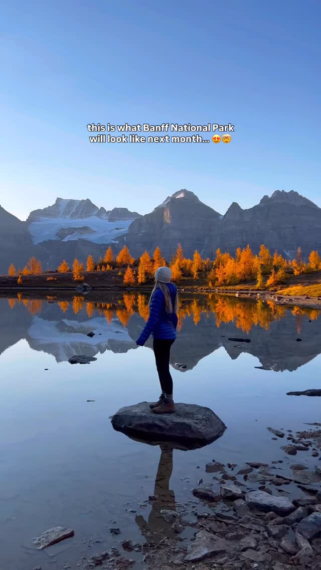 Instagram post by @yakeandmarie for Travel Alberta. Caption reads: Larch season is coming to Banff in one month & we....