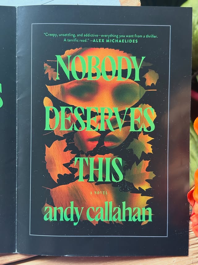 Instagram post by @lchangthewriter for Celadon Books. Caption reads: [...] DESERVES THIS, by Andy Callahan....