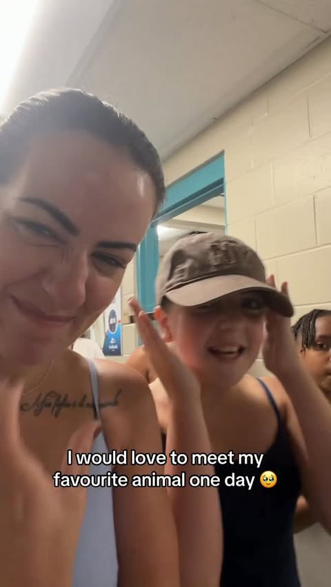 Instagram post by @daniellejohnstone2x for SeaWorld. Caption reads: [...] for us 🥹 An amazing experience at....